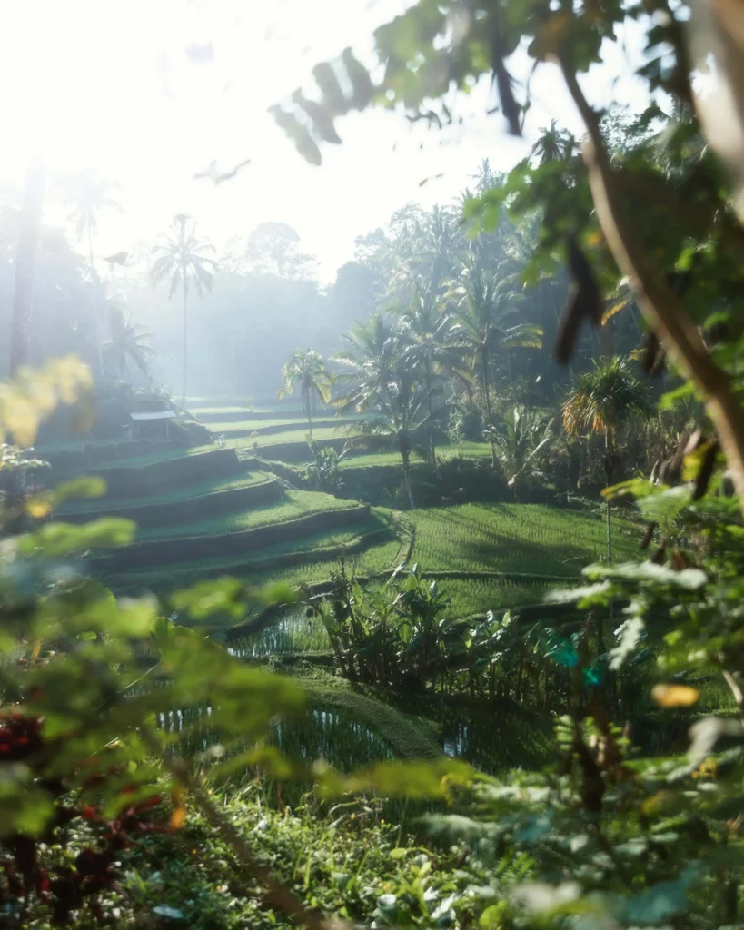 Bali: Escape the Noise and Reclaim Your Inner Stillness